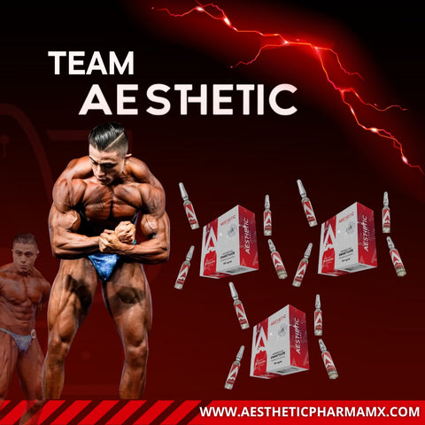 Ciclo de esteroides para principiantes con testosterona enantato y primobolan de Aesthetic Labs en presentación inyectable para 10 semanas.